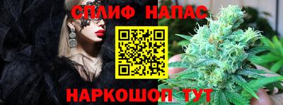 стаф Волгодонск