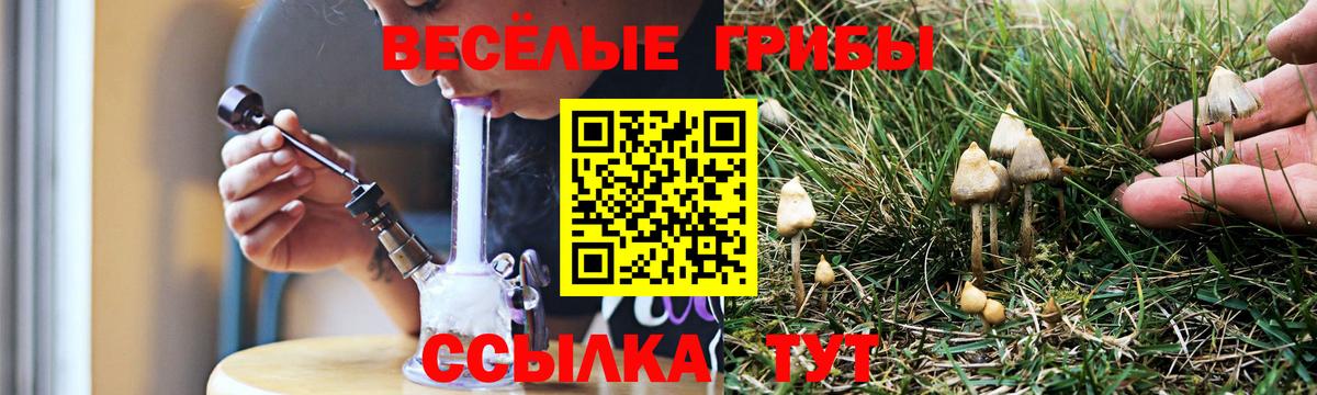 магазин  наркотиков  Вход с VPN  Мариинск  Псилоцибиновые грибы Cubensis 